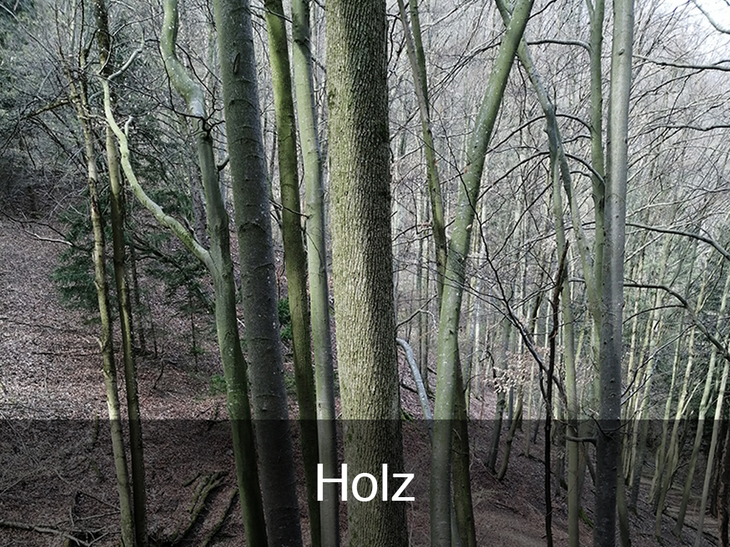 Holz